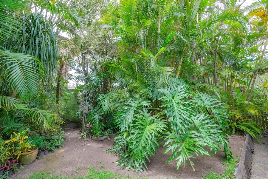 3 Bedroom Property for Sale in Selborne Eastern Cape